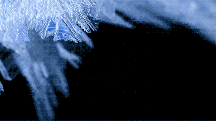 3.gif